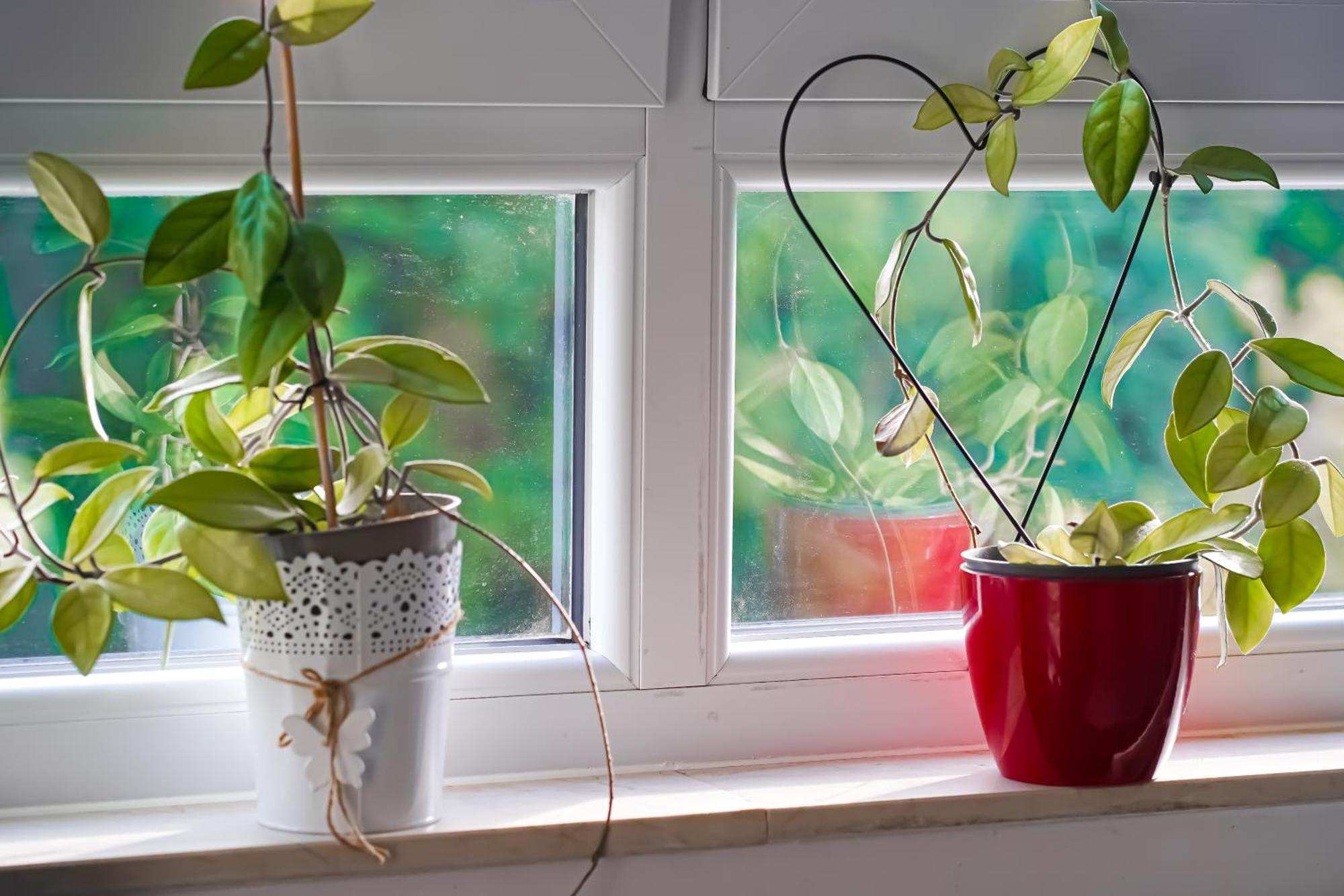 Moderne 3-zimmer-wohnung Im Herzen Von - Zentrale Lage, Komfort & Wlan Apartament Darmstadt
